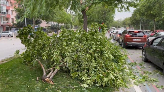 Konya'da frtna nedeniyle camekan utu, aalar devrildi