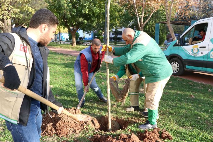  Haliliyede peyzaj almalar ile parklar yeilleniyor   