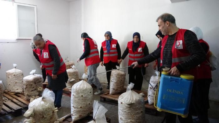 Dezavantajl kadnlar istiridye mantar reterek kazanyor