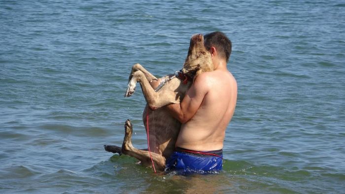 Mersin'de scak hava bunaltyor