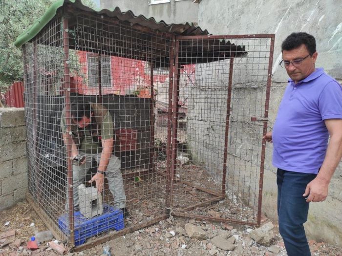 Fethiyede piton ylannn bulunmas iin fotokapan kuruldu