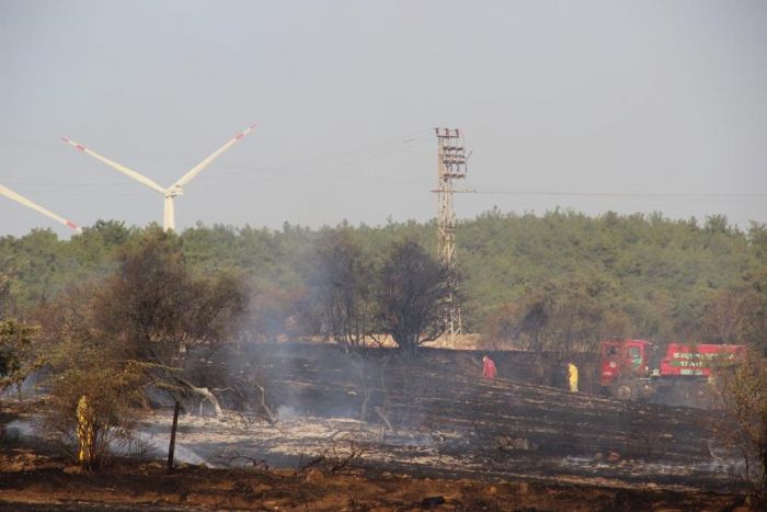 anakkale'de tarm arazisinde yangn