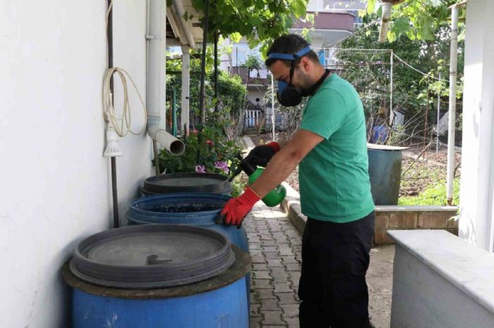 Ekipler sivrisineklerle mcadele iin sahada