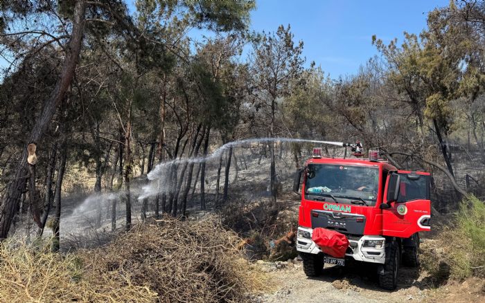 Mersin'de orman yangn: 1,5 hektar alan zarar grd