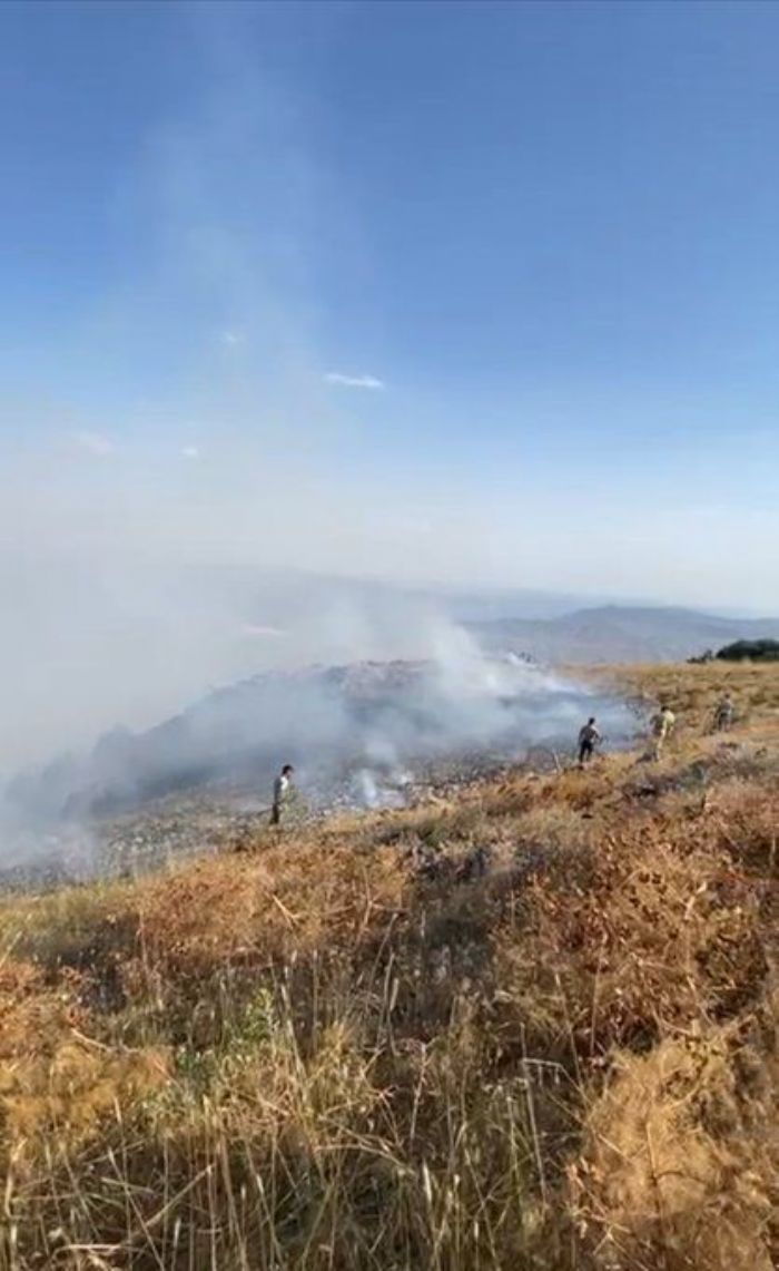 Siirt'teki orman yangn kontrol altna alnd