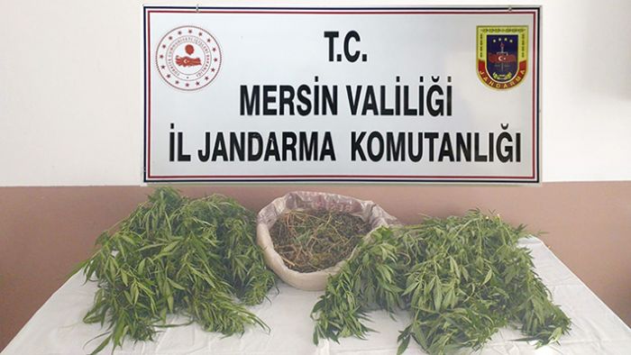 Mersin’de 1,5 kilo kubar esrar ele geirildi