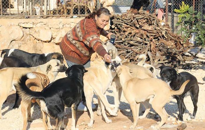 80 hayvana anne oldu, 53 kpek ile 27 kediyi sokaktan kurtard