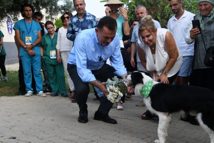 Bakan zyiit, Hayvan Haklar Tutum Belgesini imzalad