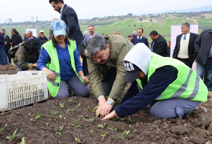 Toroslar Belediyesi salep reticisi oluyor