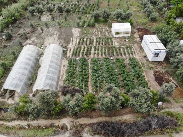 Hatay'da tarm arazileri sular altnda kald