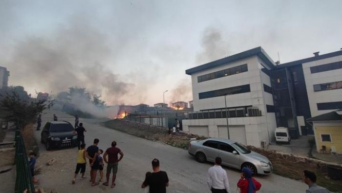 Sakarya'da korkutan yangn: Mahalleli sokaa dkld