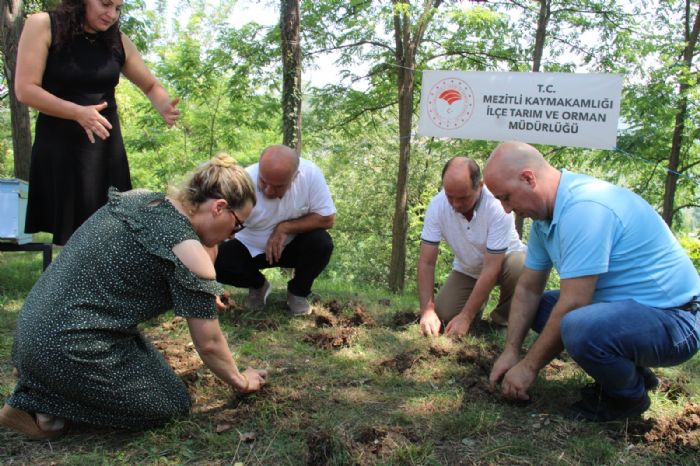 Mezitlide Tbbi Bitki ve Nergis Dikimi etkinlii