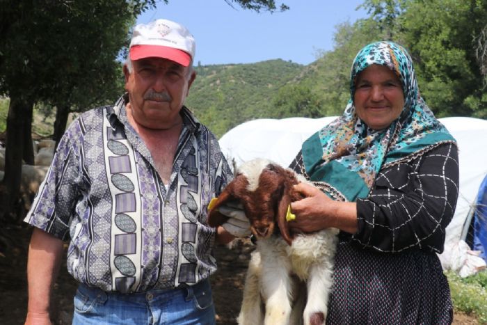 Gaziantepteki depremzede besiciler devlet desteiyle retime devam ediyor