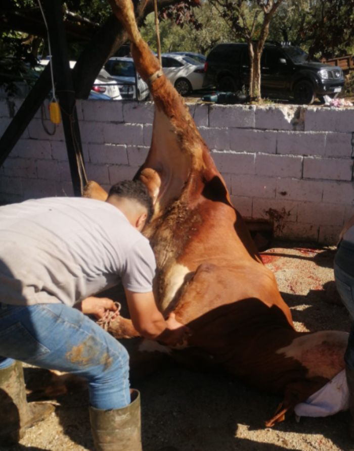 Kurban kesimleri ikinci gnde de devam ediyor