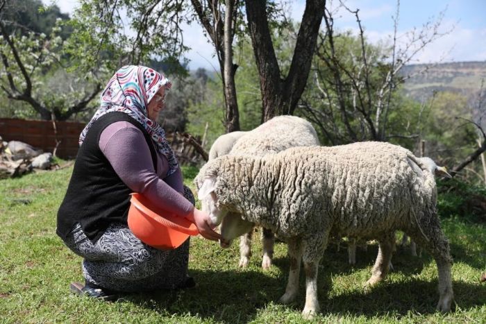 Kkba hayvan ve yem destei kaytlar balad