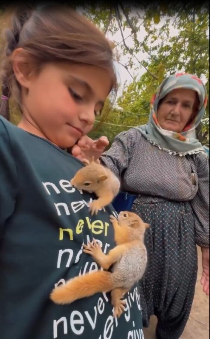 Hakkarili aileden yavru sincaplara efkat eli