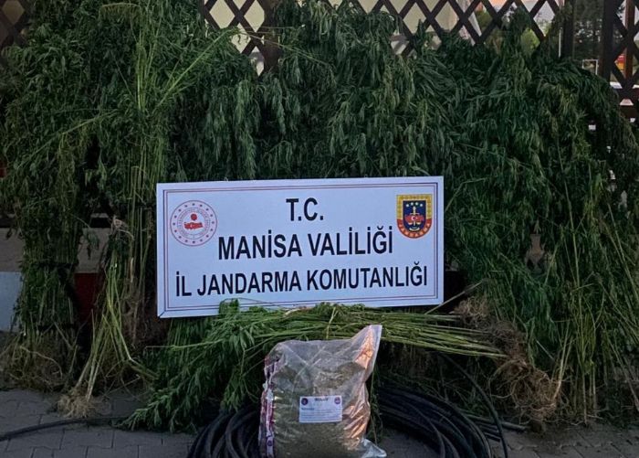 Jandarmadan uyuturucu operasyonu