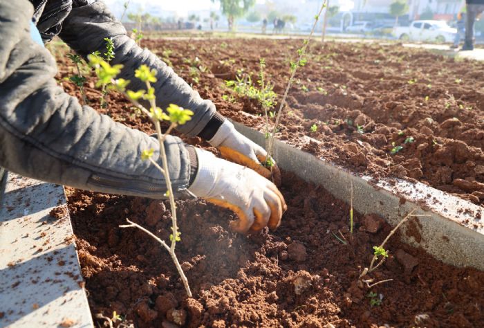 Toroslara 2 yeni park ve semt pazar 