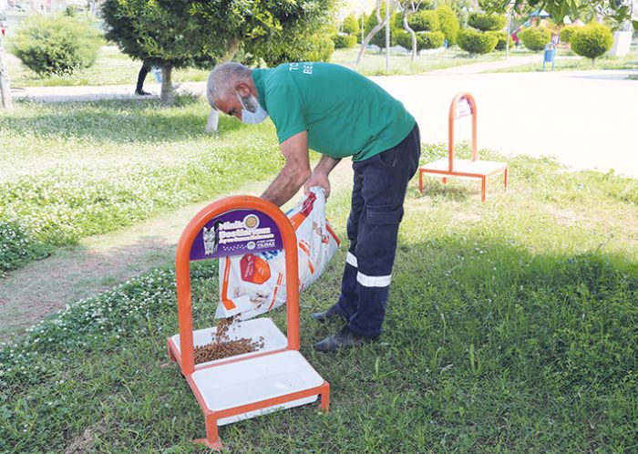 Toroslar Belediyesi tam kapanmada sokak hayvanlarn unutmad