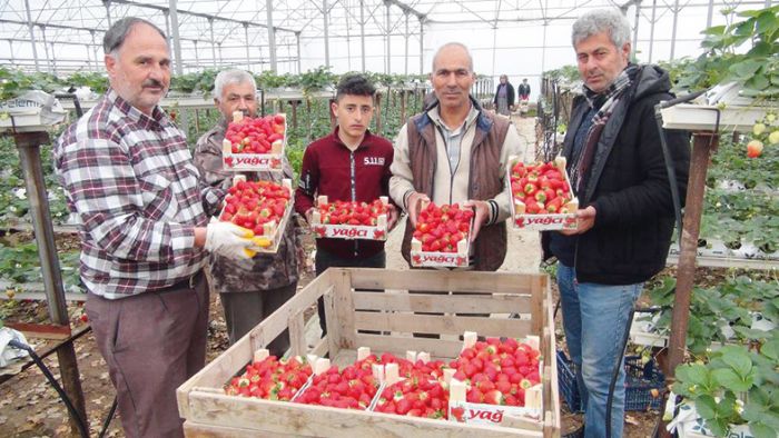 ilek reticisi Rusya ve Ukrayna savandan endieli