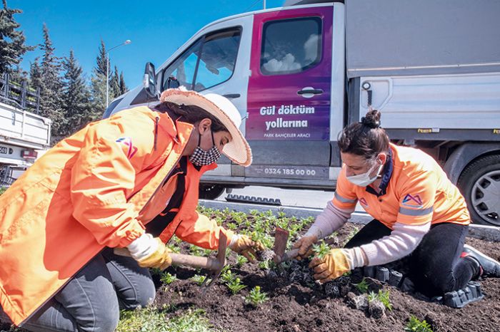 Bahar geldi, kente yaklak 60 bin mevsimlik bitki dikildi