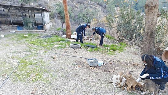  Mut’ta sokak hayvanlar unutulmad