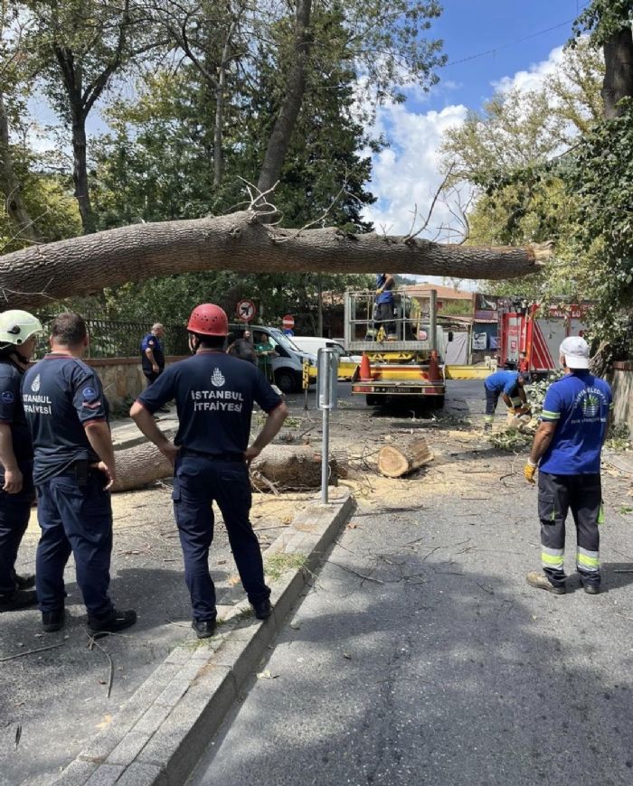 stanbul Saryerde ryen aa yola devrildi