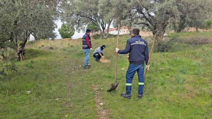 Byle vahet grlmedi, onlarca kpek telef olmu vaziyette bulundu