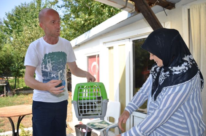 Bozyk Belediyesinden ksrlatrma yapanlara mama destei