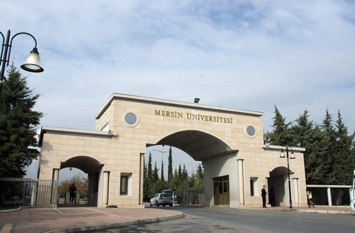 Mersin niversitesi’ndeki usulszlkler Saytay raporunda