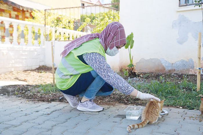 Limon iei ekipleri sokaktaki canlar yalnz brakmyor