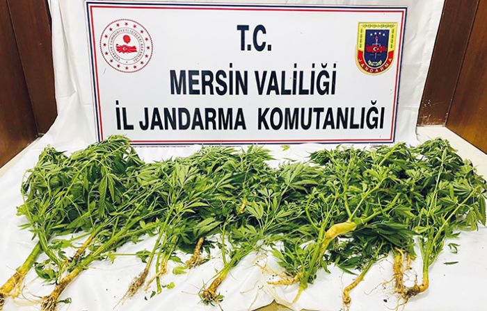 Mersin’de uyuturucu operasyonu: 8 gzalt