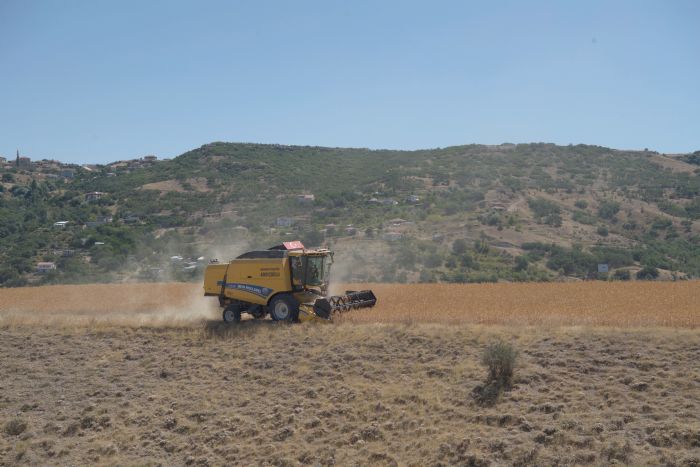 Kayseri'de aspir hasad balad   