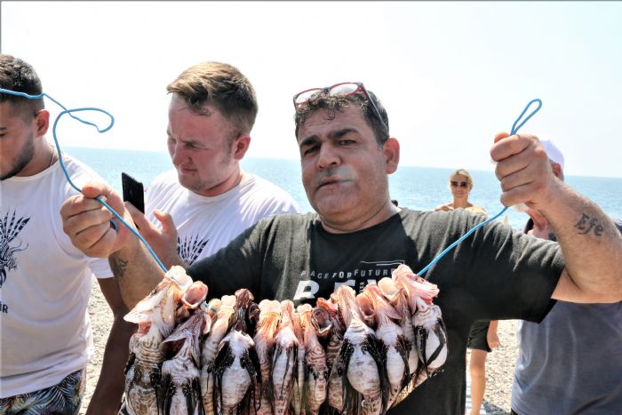 Zehirli aslan baln yakalamak iin yartlar, tuttuklarn zgarada piirip yediler