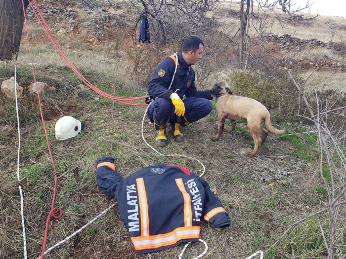 Kuyuya den kpek iin zamanla yartlar   