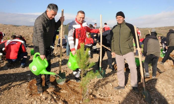 Ktahyada maden sahasna 6 bin fidan dikildi