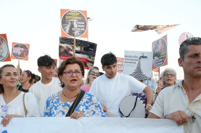 Mersin'de hayvanseverler 'uyutma' yasas dolaysyla eylem yapt