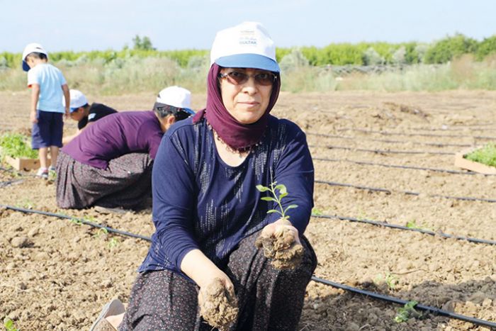 Belediyeye ait 3 buuk dnmlk araziye yzlerce fide dikildi