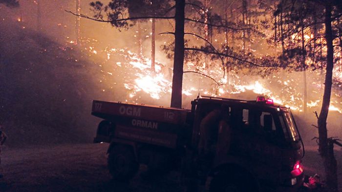 Aydncktaki orman yangn devam ediyor