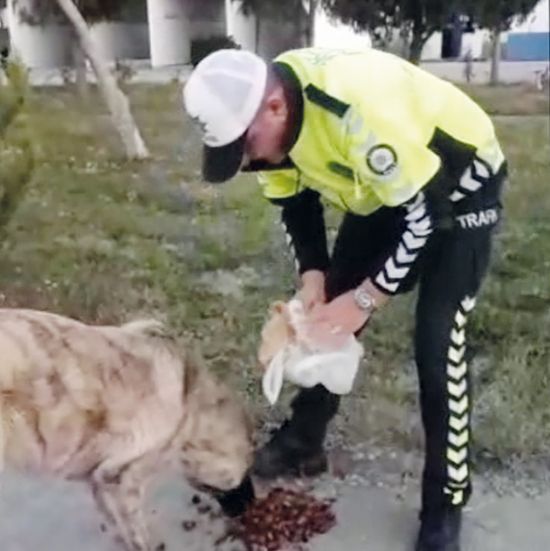 Polisin hayvan sevgisi