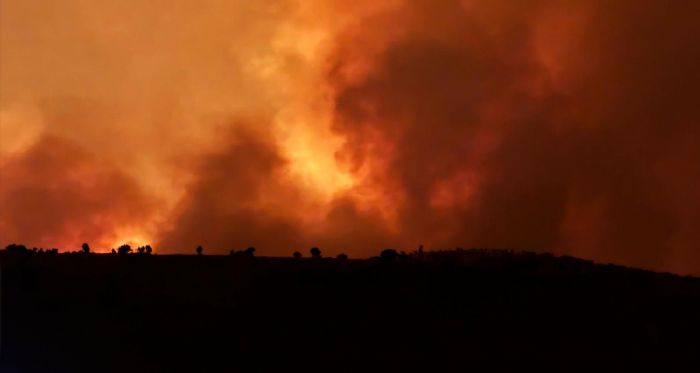 Diyarbakr- Mardin yangnlarnda hayatn kaybeden kii saysn akland.