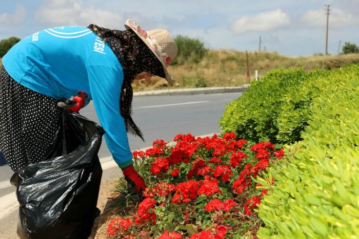 Alanyada 571 bin 250 adet mevsimlik iek toprakla bulutu