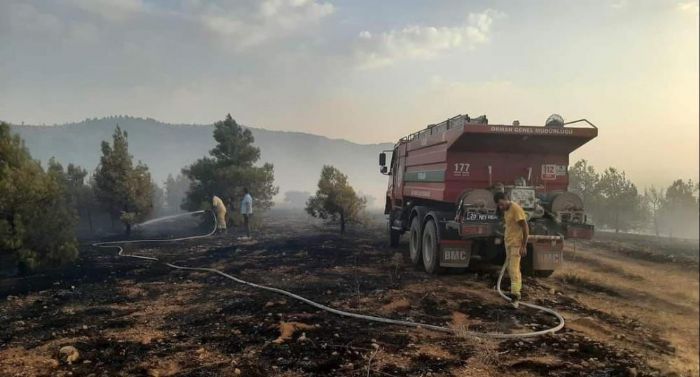 Denizlide orman yangnna mdahale ediliyor