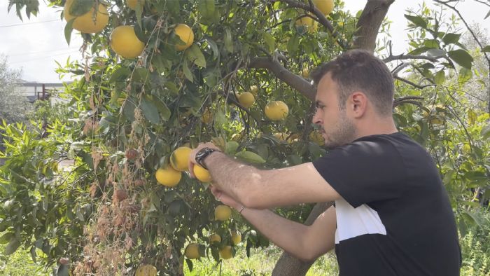 Kkekmece Belediyesinden Hataydaki reticilere destek   