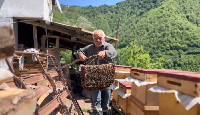 Arlar oul verdi, babasnn yeni koloni oluturma srecini film gibi ekti