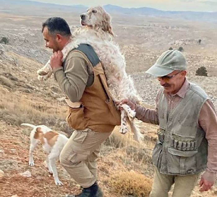 Yorulan kpeini 5 kilometre srtnda tad  