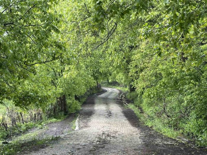 emdinli yeil doasyla Karadenizi aratmyor