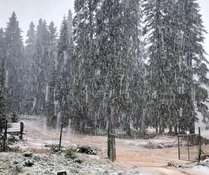 Bartn ve Zonguldak'a ilk kar dt