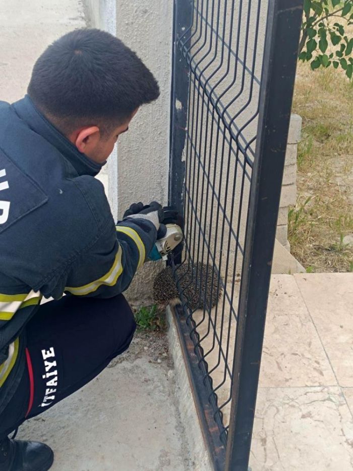 Bahe kapsna skan kirpinin imdadna itfaiye yetiti