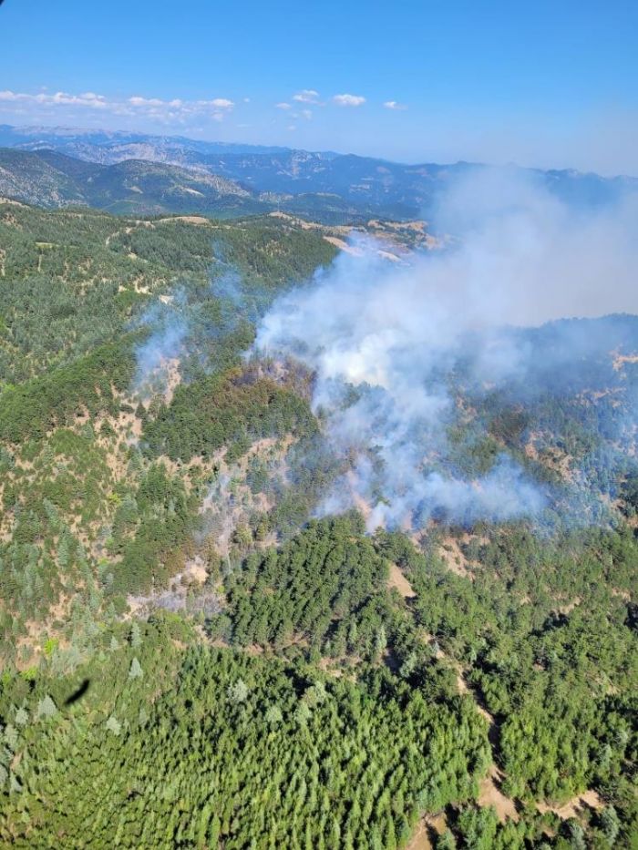 Adana'daki orman yangn kontrol altna alnd